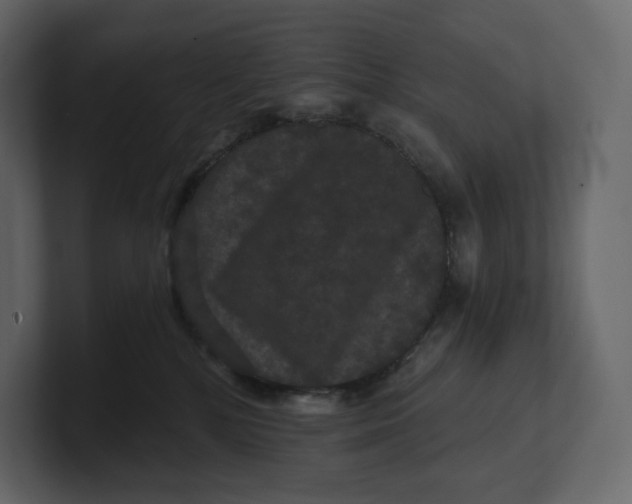 X0000100890232200807151104