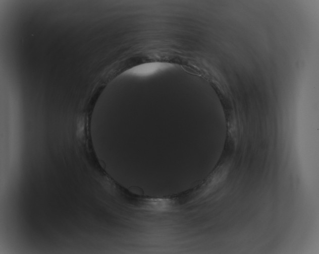 X0000100890233200807151104