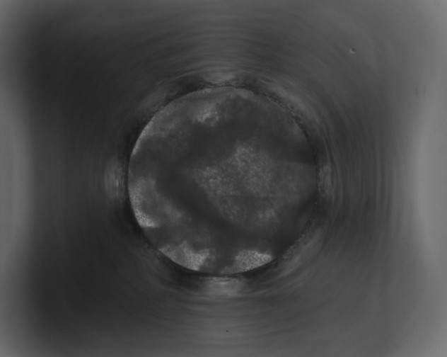 X0000100890234200807151104