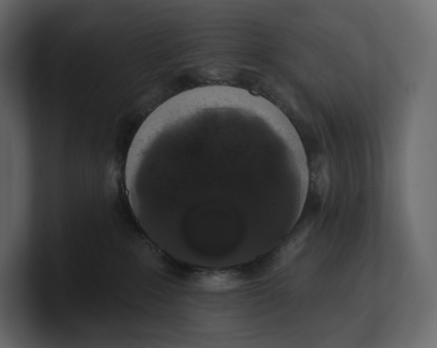 X0000100890235200807151104