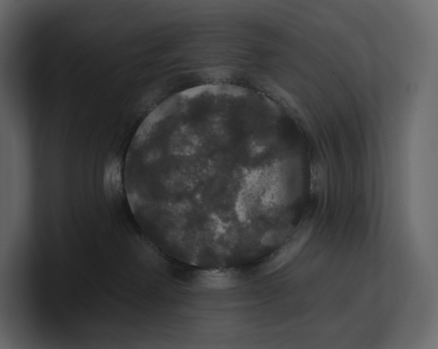 X0000100890238200807151104