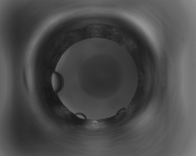 X0000100890239200807151104