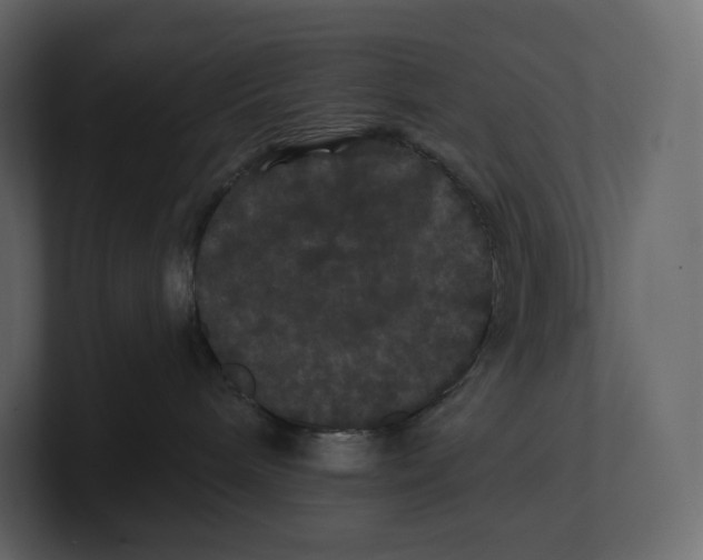 X0000100890240200807151104