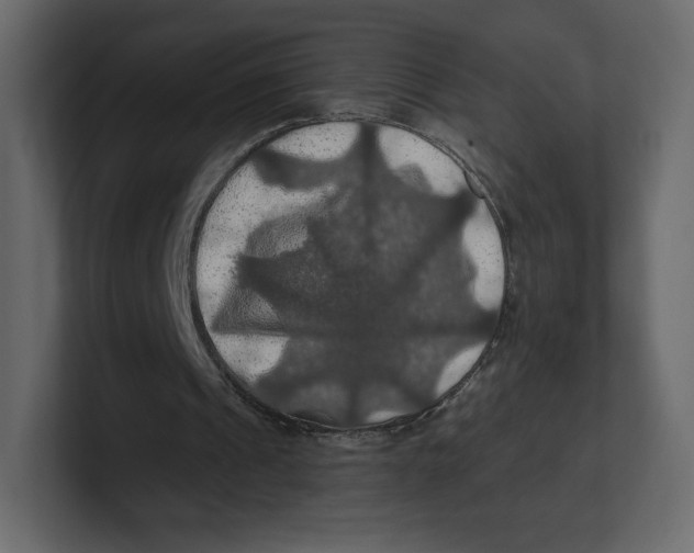 X0000100890241200807151103