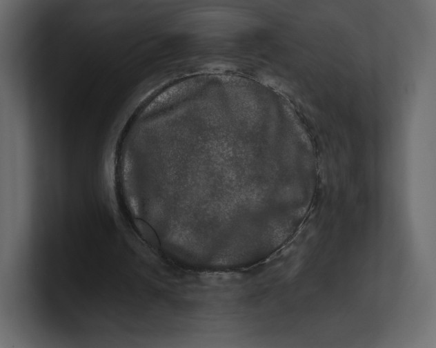 X0000100890242200807151103