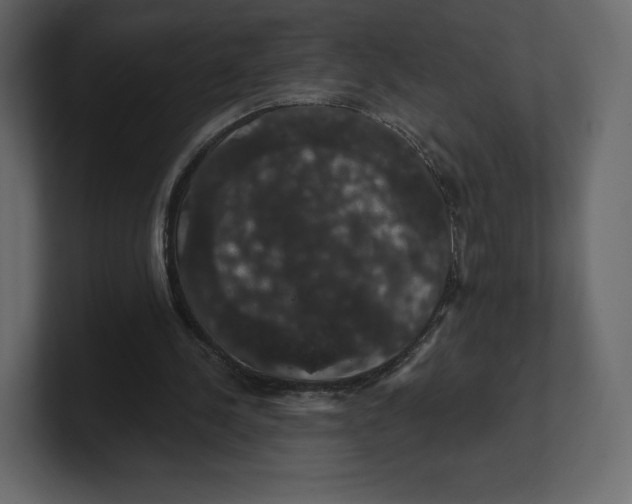 X0000100890244200807151103