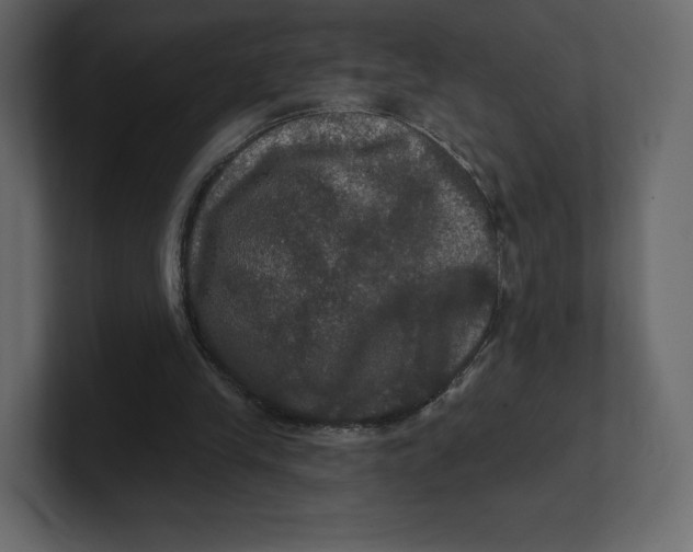 X0000100890245200807151103