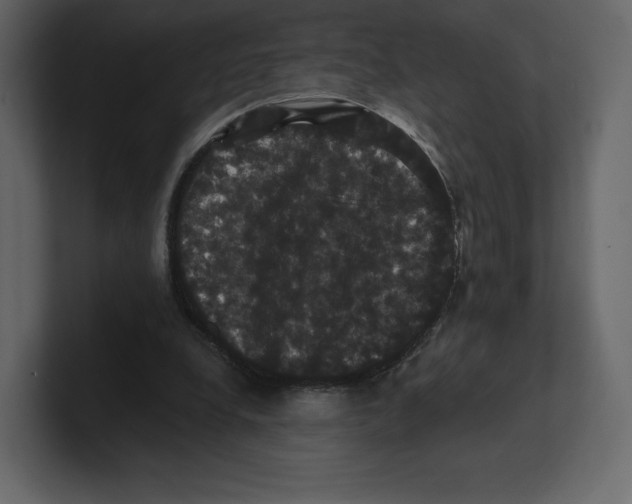 X0000100890248200807151103