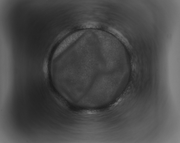 X0000100890250200807151103