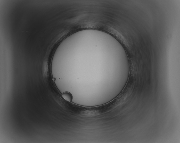 X0000100890251200807151103