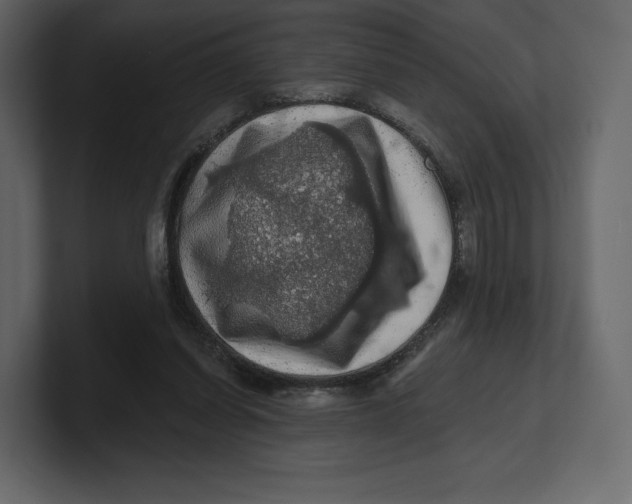 X0000100890254200807151103