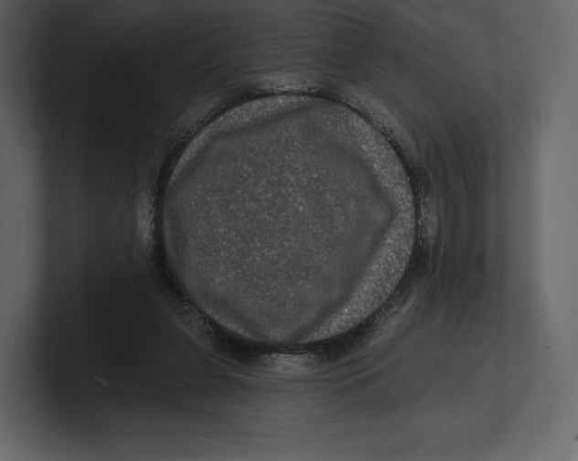 X0000100890255200807151103