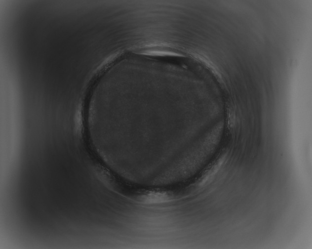 X0000100890256200807151103