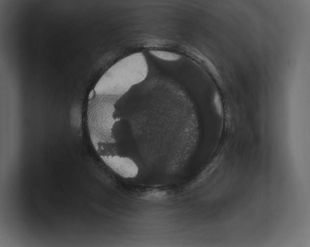 X0000100890257200807151103