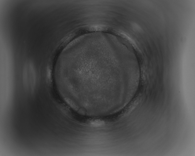 X0000100890258200807151103