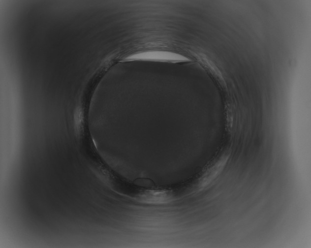 X0000100890260200807151103