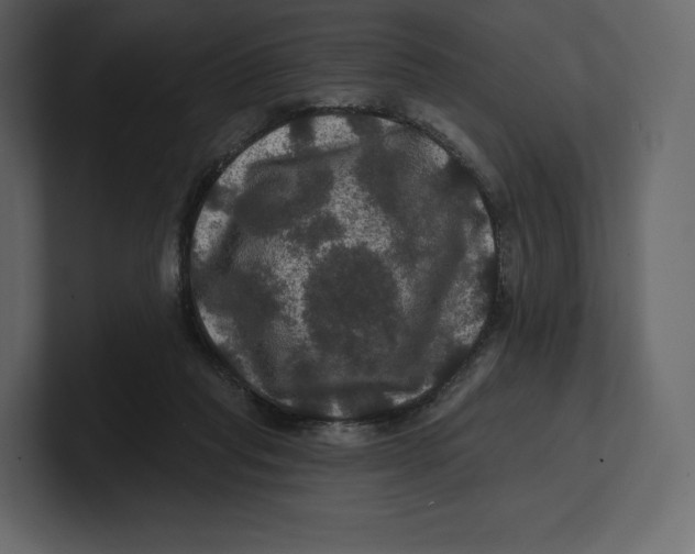 X0000100890261200807151103