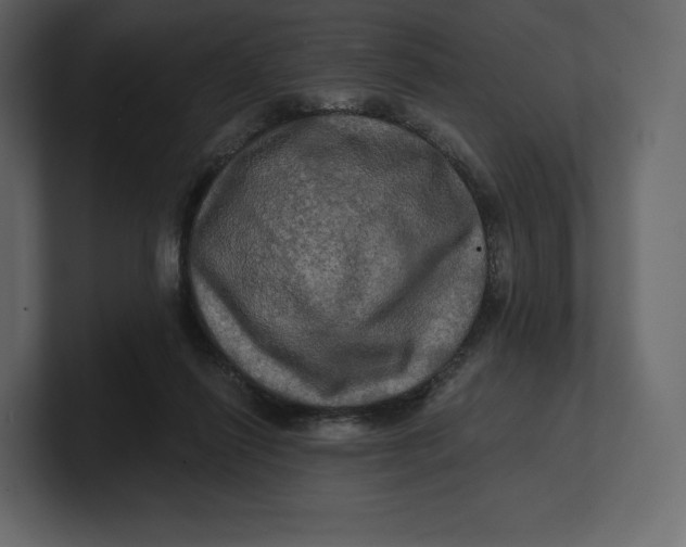 X0000100890262200807151103