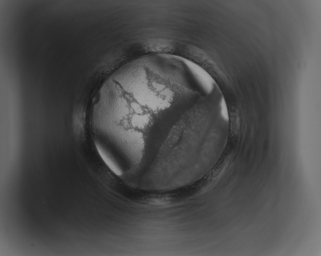 X0000100890263200807151103