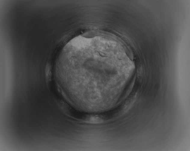 X0000100890264200807151103