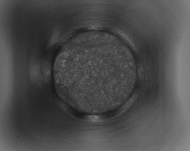 X0000100890265200807151103