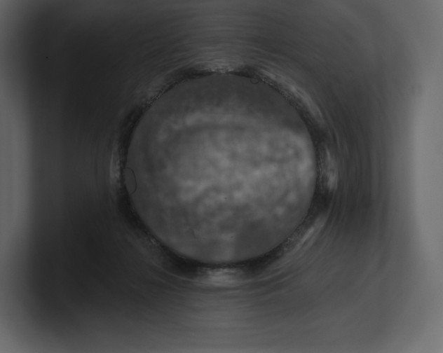 X0000100890268200807151103