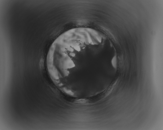 X0000100890269200807151103