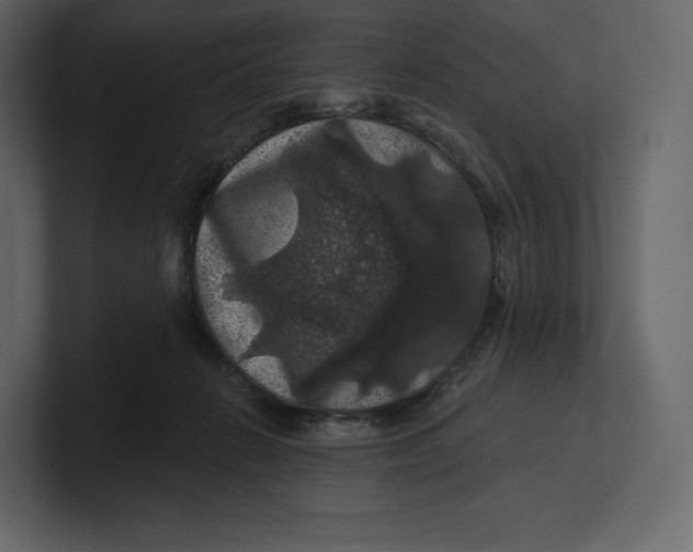 X0000100890270200807151103