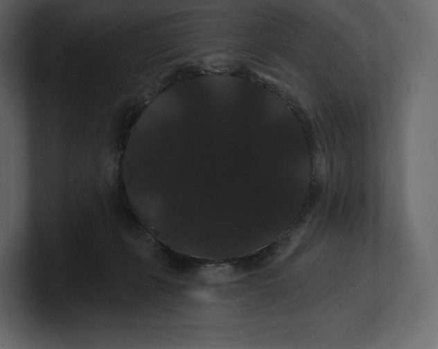 X0000100890271200807151103