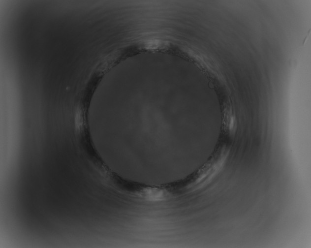 X0000100890272200807151103