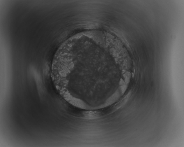 X0000100890273200807151103