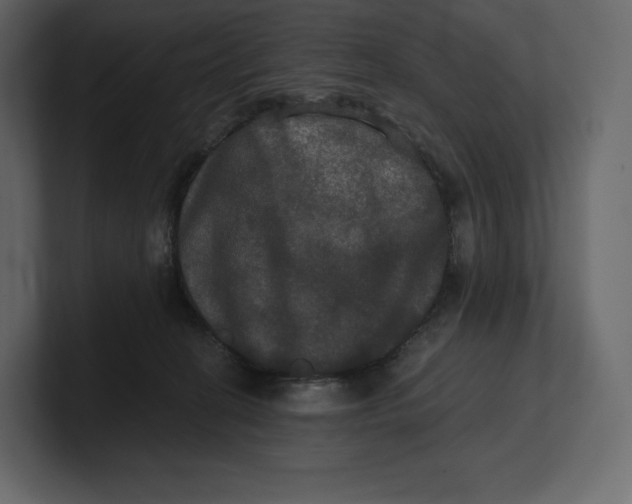 X0000100890274200807151103