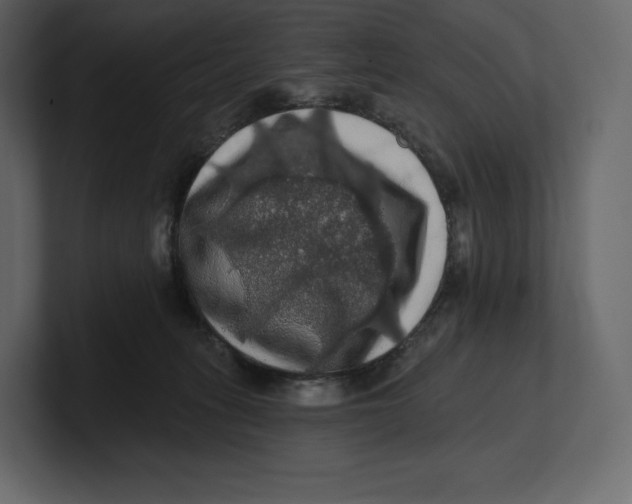 X0000100890275200807151103