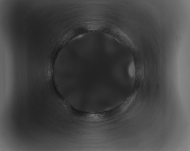 X0000100890277200807151103