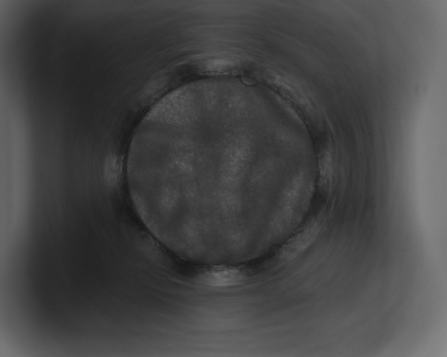 X0000100890278200807151103