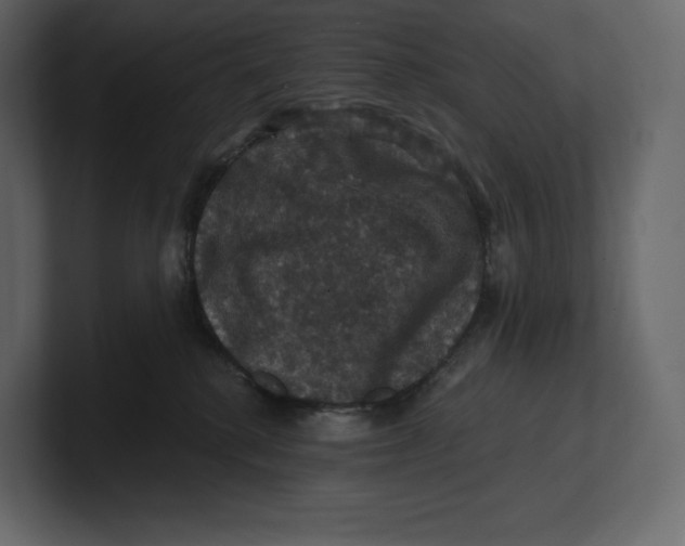 X0000100890280200807151103