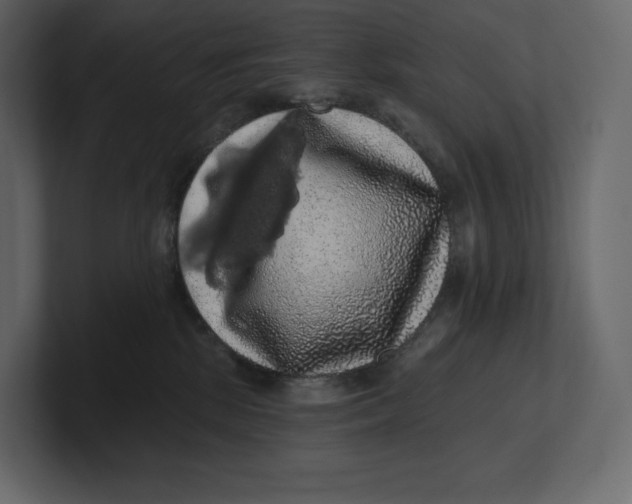 X0000100890281200807151103