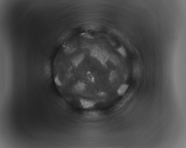 X0000100890282200807151103