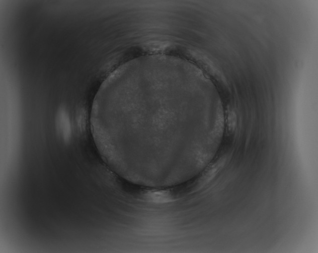 X0000100890283200807151103