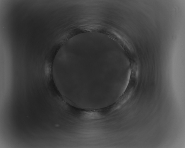 X0000100890284200807151103