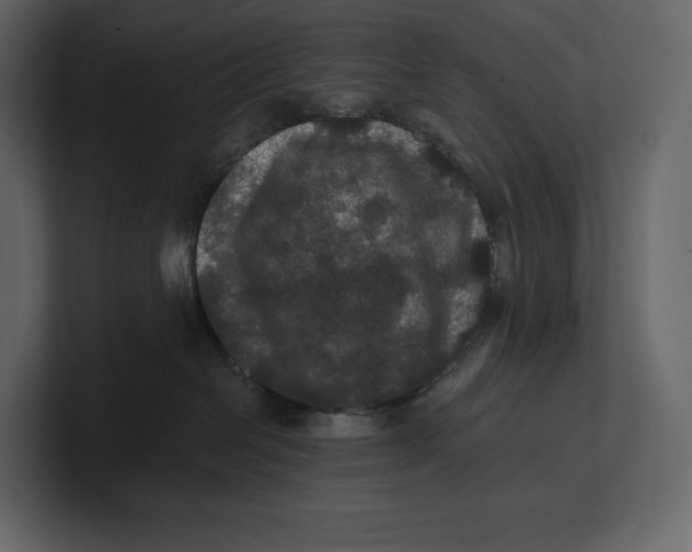 X0000100890286200807151103