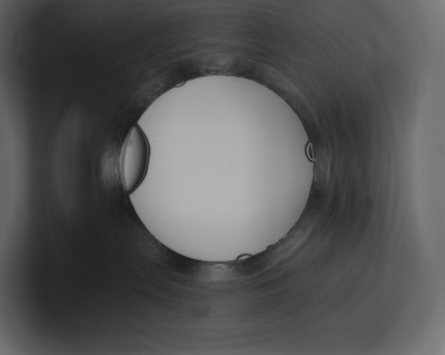 X0000100890287200807151103