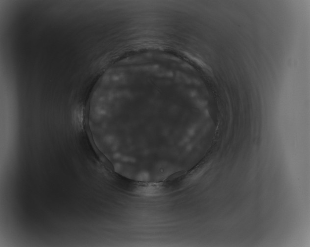 X0000100890288200807151104