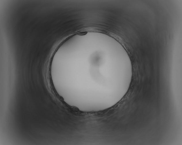 X0000100890289200807151103