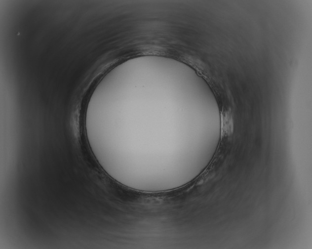 X0000100890291200807151103