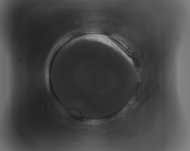 X0000100890293200807151103