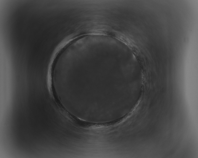 X0000100890294200807151103