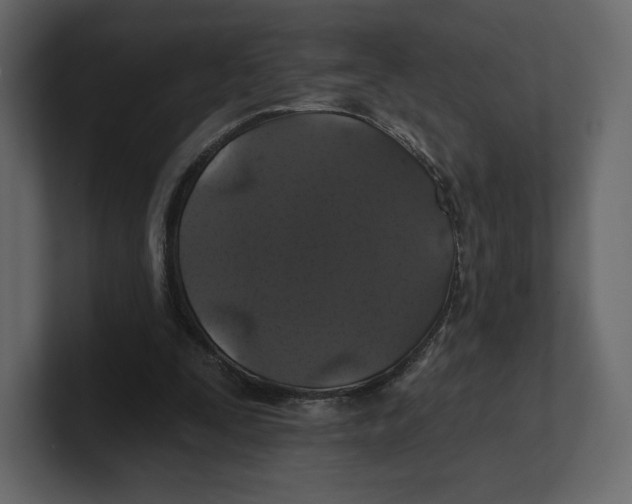 X0000100890295200807151103