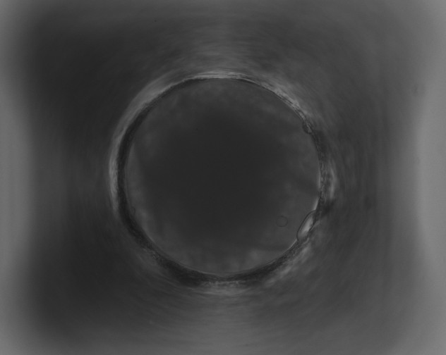 X0000100890296200807151103