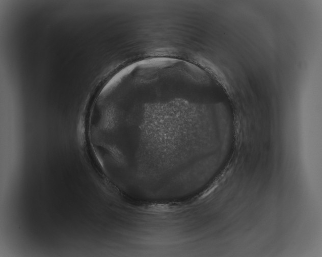 X0000100890298200807151103